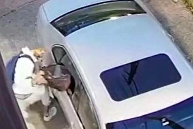 Buscan a un sujeto que rompió la ventanilla de un auto y sustrajo importante documentación