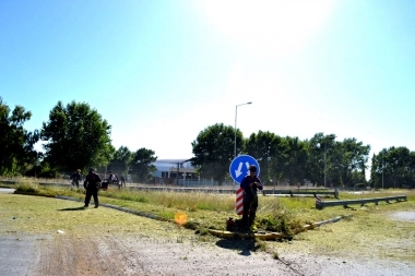 Furioso por la ausencia del gobierno de Milei, otro intendente salió a cortar el pasto en las rutas