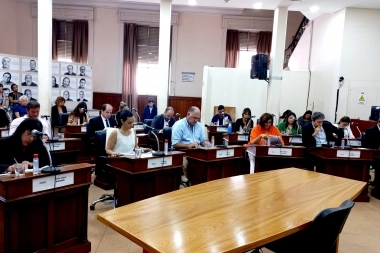 Por su historial de polémicas, buscan destituir a la presidenta del Concejo de Bahía Blanca