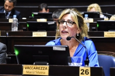 Vaccarezza cuestionó la quita de retenciones: “La previsibilidad es fundamental y van en sentido contrario”