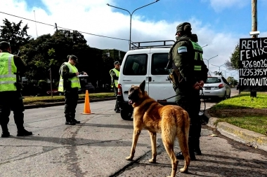 Senadores dialoguistas pidieron la intervención de Fuerzas Federales para frenar la ola delictiva en Provincia