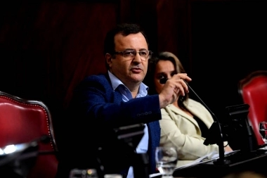 Senador propone que las PASO sean voluntarias en la provincia de Buenos Aires