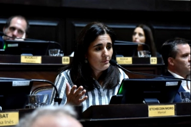 Previo a la sesión en Diputados, otro bloque opositor pide suspender las PASO en el terreno bonaerense
