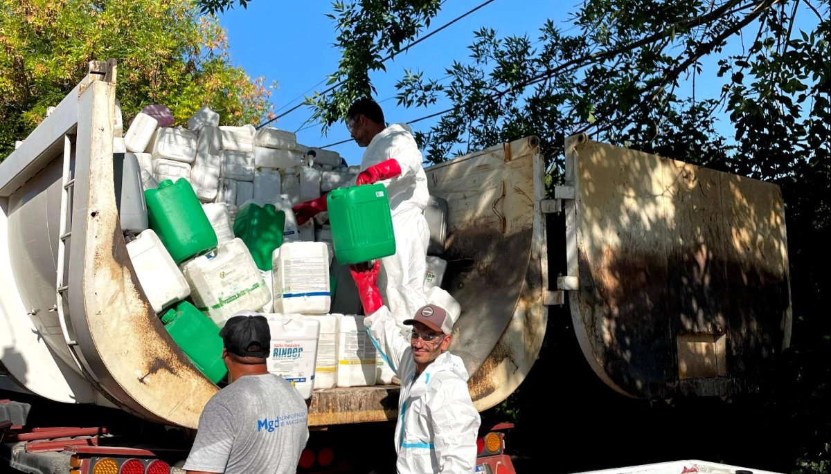 Compromiso Ambiental en Magdalena: gran éxito en la Jornada de  Recolección de Envases Fitosanitarios en Bavio
