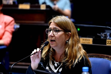 Convulsión en el peronismo: habló la legisladora kicillofista que se ausentó en la fallida sesión por las PASO