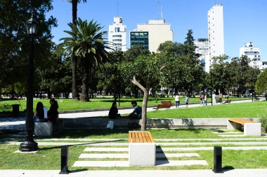 Sustentabilidad, identidad y estética: los ejes de la reforestación integral de Plaza San Martín de La Plata