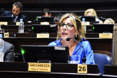 Vaccarezza presentó un proyecto para implementar el "Sistema de Familia de Corazón" para niños vulnerables