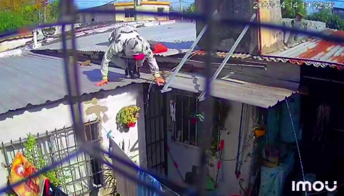 Un ladrón contorsionista se metió por la puerta para los caniches y robó una casa en Merlo