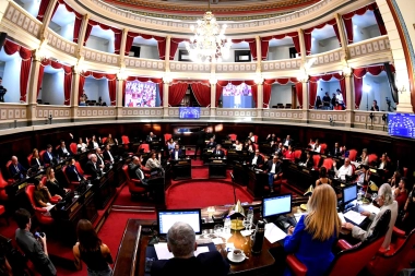 El Senado bonaerense discutió la suspensión de las PASO en la Provincia