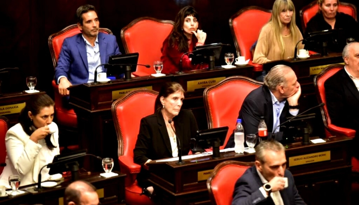 Nueva interna: el cristinisimo busca la aprobación para la reelección indefinida de legisladores y concejales no intendentes