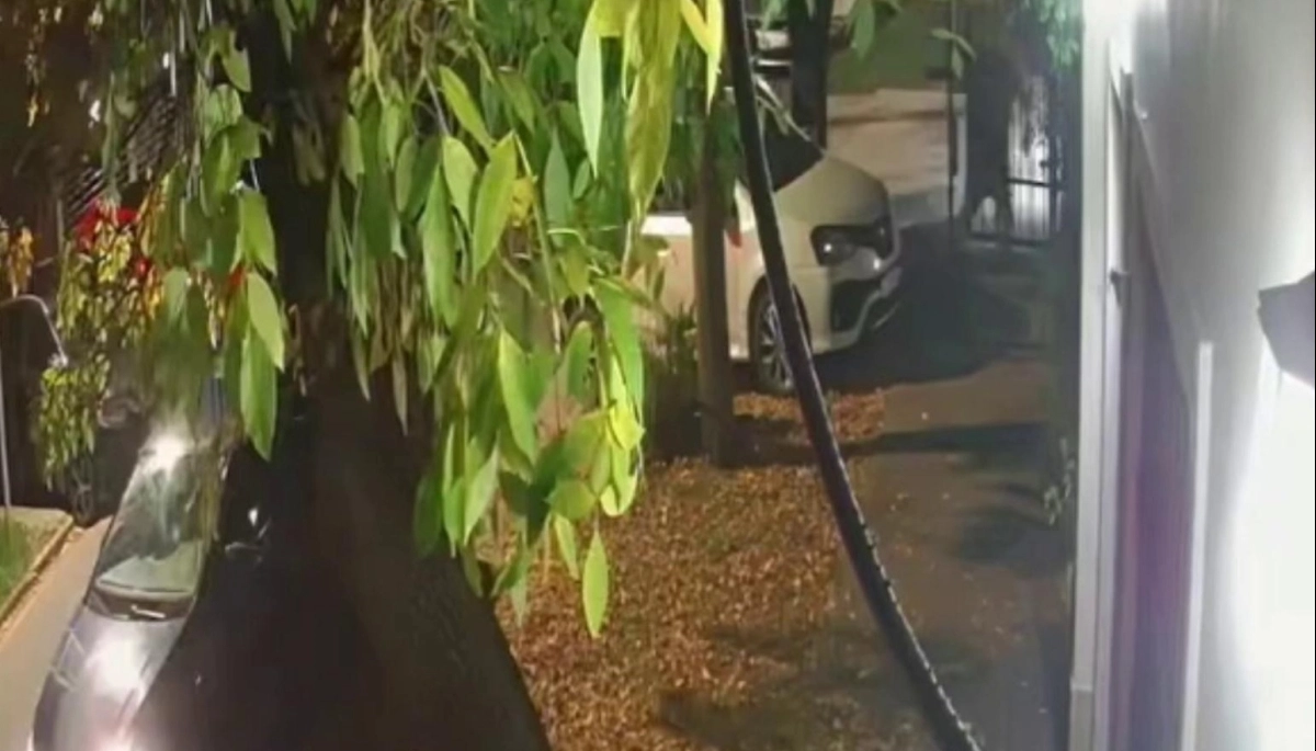 Salió de la casa en La Plata y una banda de encapuchados le robó el auto con culatazos