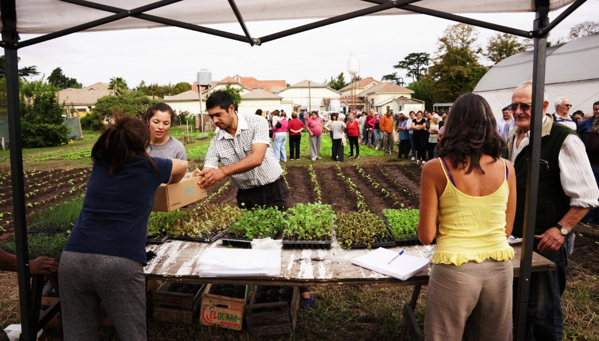 25 de Mayo: el programa “Cultivar 25” entregó plantines y capacitaciones