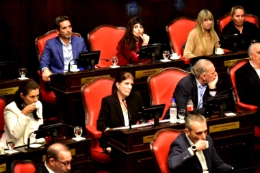 Nueva interna: el cristinisimo busca la aprobación para la reelección indefinida de legisladores y concejales no intendentes
