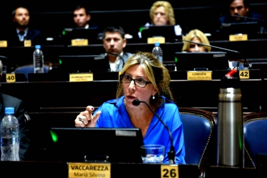 Para cumplir diversos objetivos, piden crear por ley el Comité de la Cuenca Hídrica Río Salado