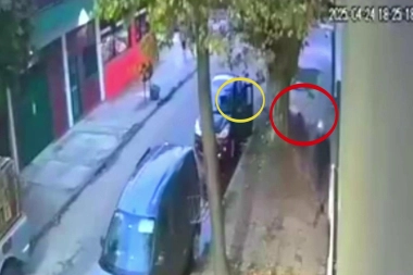 Muerto el perro se acabó la rabia: se resistió al robo del auto y el ladrón la mordió
