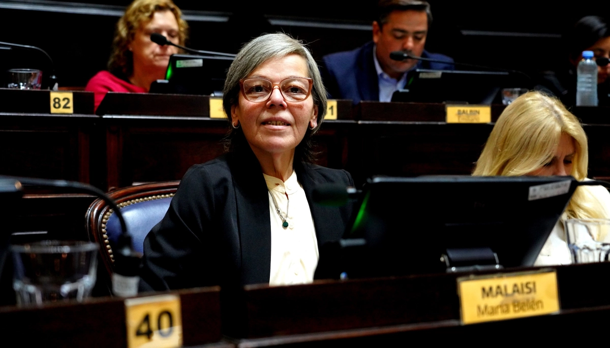 Una mirada radical: Malaisi habló sobre la “dilatación” por la suspensión de las PASO y los plazos electorales