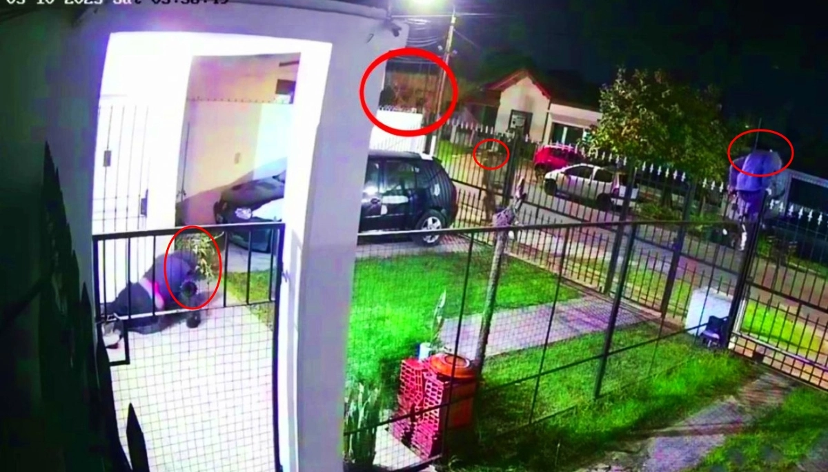 Temible banda resultó detenida durante un frustrado robo con la modalidad escruche