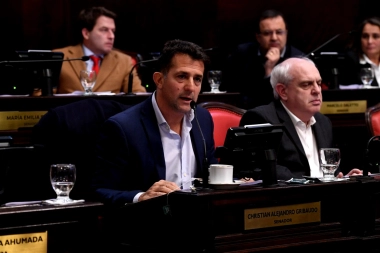 Senadores del PRO condenaron la aprobación de las reelecciones indefinidas: "Es un grave retroceso institucional"