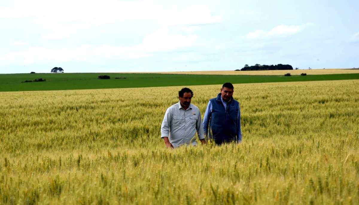 El campo bonaerense puso el grito en el cielo por el mal estado de los caminos y el Inmobiliario Rural