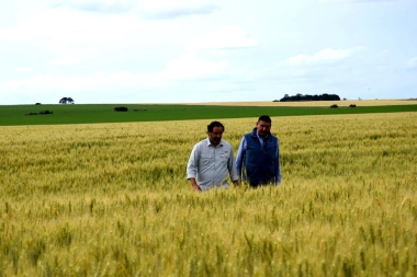 El campo bonaerense puso el grito en el cielo por el mal estado de los caminos y el Inmobiliario Rural