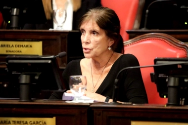 Senadora cristinista apuntó a Bianco: “No puede venir a decirnos que levantemos la mano sin chistar”