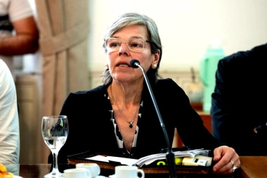 Malaisi elevó proyectos en repudio al DNU de Milei sobre la educación y el derecho a huelga