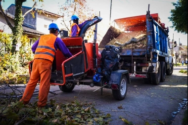 En el Día Mundial del Ambiente, Mayra Mendoza supervisó un operativo de poda correctiva en Quilmes Este
