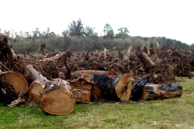 Un patrimonio histórico en riesgo y un negocio privado del municipio altera a los vecinos de Cañuelas