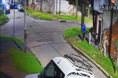 Una manada de cobardes la desmayó con trompadas y patadas pero no le pudo robar