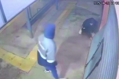 Una pareja de "chorizos" violentó la persiana y robó una carnicería de Avellaneda