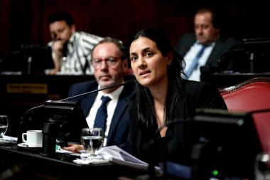 Por qué una senadora massista votó en contra de las reelecciones indefinidas propuestas por el peronismo