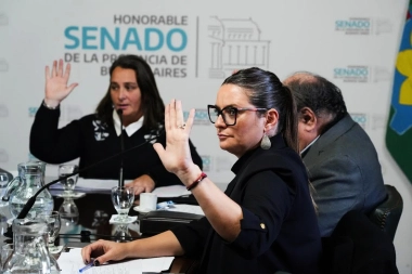 El Senado bonaerense avanza con un proyecto destinado a proteger el empleo para personas discapacitadas