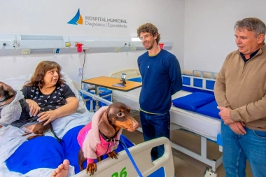 Juan Andreotti lanzó “Patitas de Salud”: con visitas de mascotas para pacientes internados en el Hospital de San Fernando