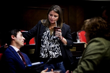 De vuelta al pago chico: exintendentes y legisladores competirán por cargos en los Concejos