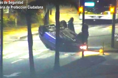 Choque en Troncos del Talar: circulaba a alta velocidad cuando colisionó con el boulevard y volteó palmeras
