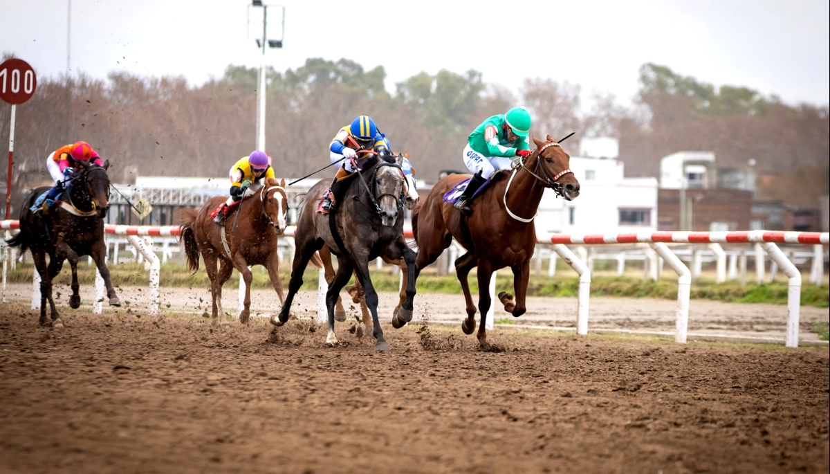 Este domingo se corre el Especial La Plata Capital en el Hipódromo de La Plata