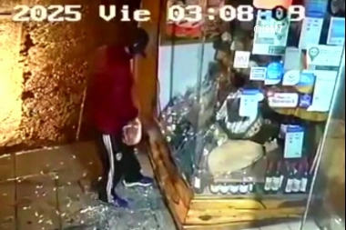 Un salame en Mar del Plata: rompió la vidriera con una piedra y robó mercadería de un comercio de picadas