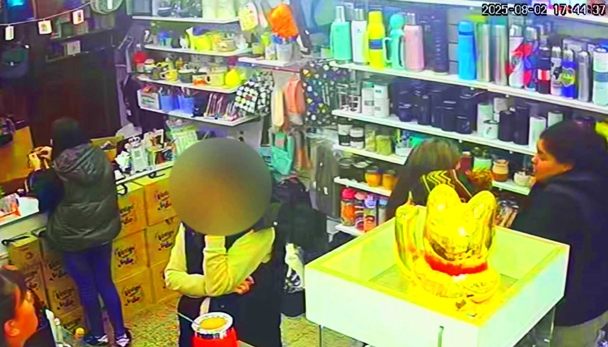 Sus caras me suenan: las "mecheras queseras" reaparecieron en un bazar y robaron 200 mil en mercadería
