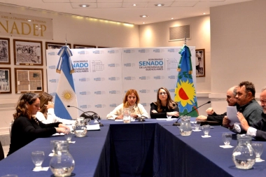 Senado bonaerense en marcha: con proyectos avanzados, una comisión retomó su labor parlamentaria
