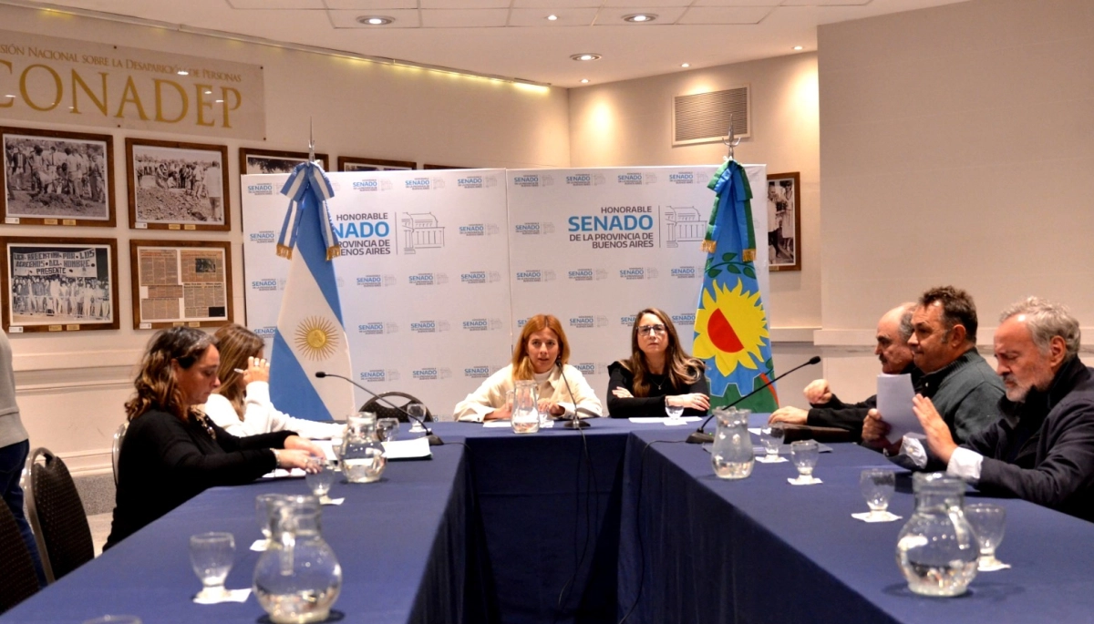 Senado bonaerense en marcha: con proyectos avanzados, una comisión retomó su labor parlamentaria