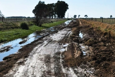 Presentan un proyecto de Ley para declarar la emergencia de los caminos rurales en ocho distritos bonaerenses