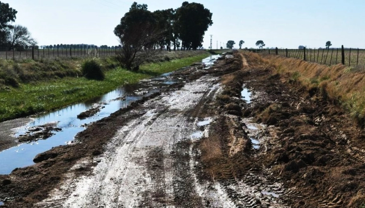 Presentan un proyecto de Ley para declarar la emergencia de los caminos rurales en ocho distritos bonaerenses