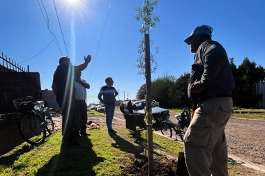 General Arenales presentó nuevas plantaciones de árboles en veredas para el crecimiento urbano