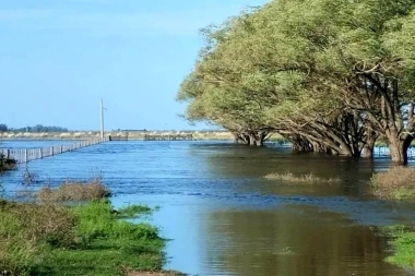 Emergencia agropecuaria: libertarios exigen a Kicillof detalles sobre la crisis rural