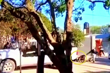 Buscado por homicidio en Mar del Plata, se atrincheró con rehenes y murió por un disparo en la cabeza