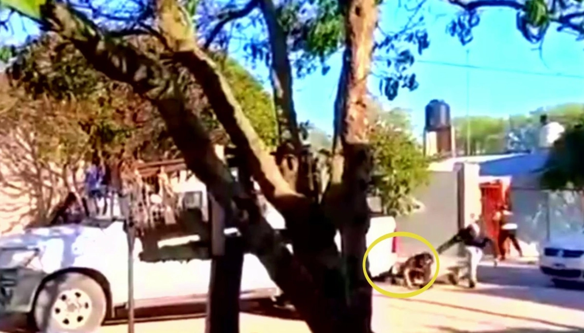Buscado por homicidio en Mar del Plata, se atrincheró con rehenes y murió por un disparo en la cabeza