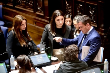 El PRO juega solo en la Legislatura, pero no se despega de Milei en la Provincia