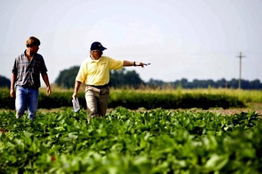 El campo bonaerense alertó por el impacto de las inundaciones: fuertes reclamos para Milei y Kicillof