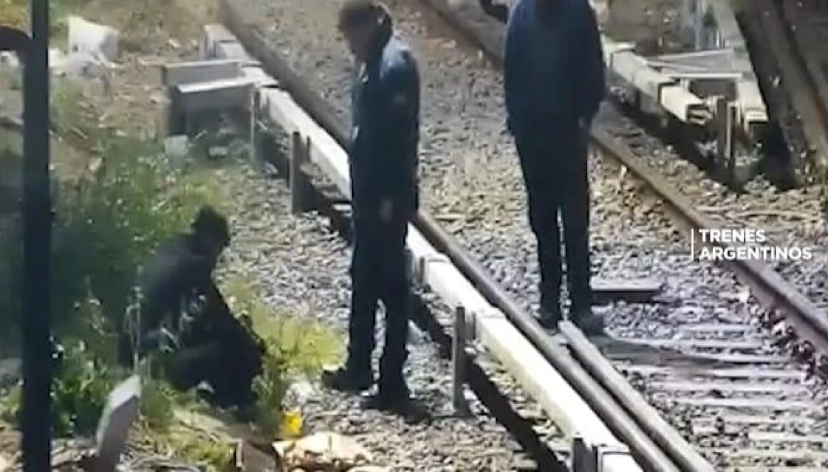 Le pelaron los cables: atraparon a un hombre que pretendía robar el tendido eléctrico de los trenes