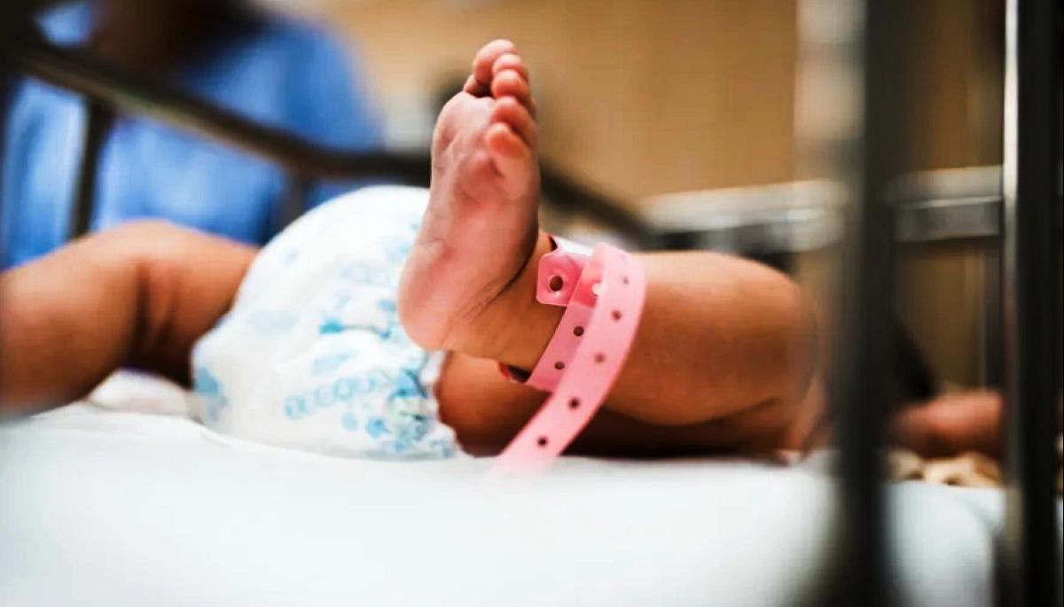 Presentan un proyecto para incorporar el cuidado de la salud bucal a la libreta sanitaria materno infantil